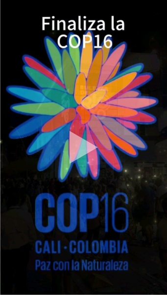 Video COP16